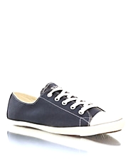 All Star Light Ox