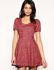 ASOS Animal Print Skater Dress