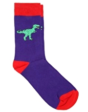ASOS Dinosaur Socks
