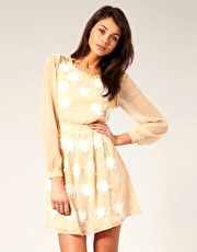 ASOS Embroidered Flower Chiffon Dress