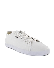 Basic Low Canvas