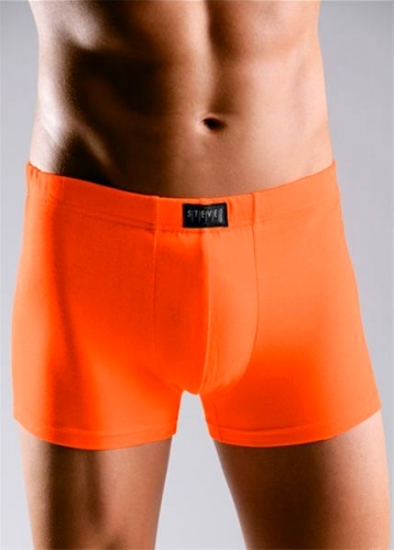 Boxer (3-pack) - 15