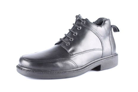 Bradshaw Black