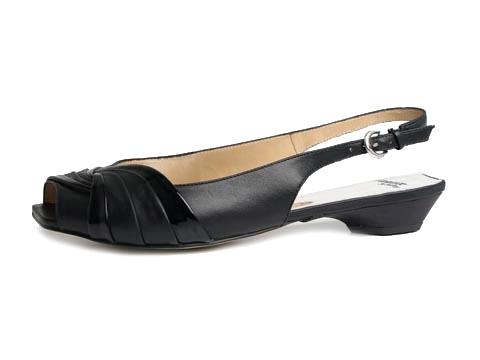 Bronx: Dali Black