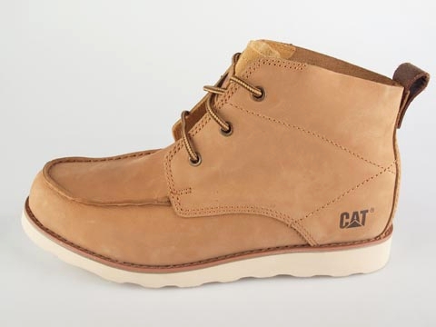 Cat: Davis Desert