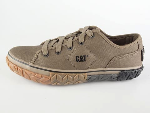 Cat: Kellan