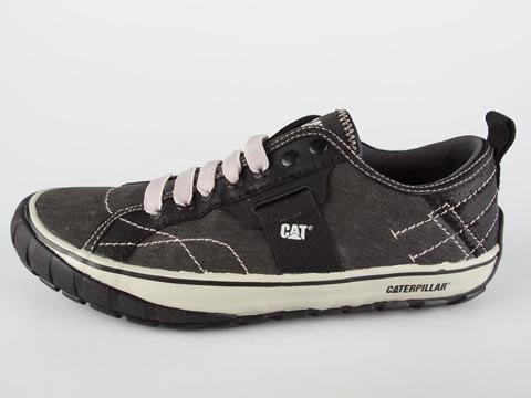 Cat: Neder Canvas - 3