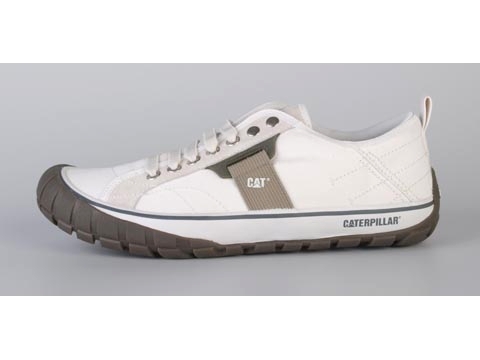 Cat: Neder Canvas