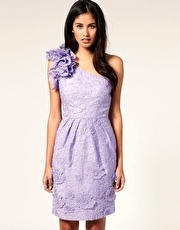 Coast Lita One Shoulder Dress With Floral Embroidery