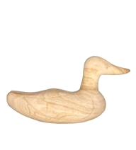 Day Duck M