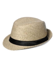 Dixie hat