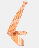 ERMENEGILDO ZEGNA - Slips - 13