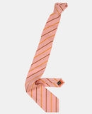 ETRO - Slips - 4