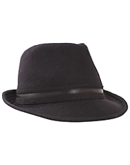 Fashion Hat
