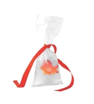 Fish In a Bag