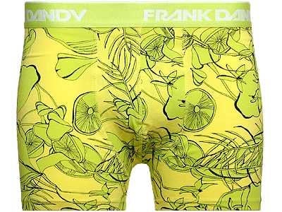 Frank Dandy Superwear - Ladera Boxer Sunlight