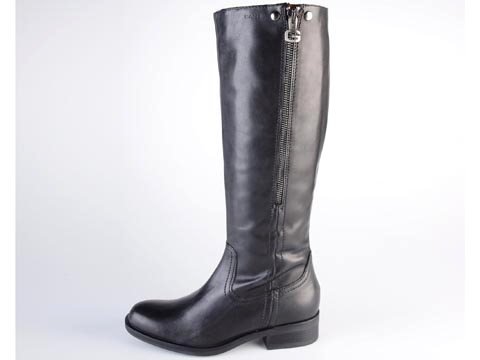 Gant: Springfield