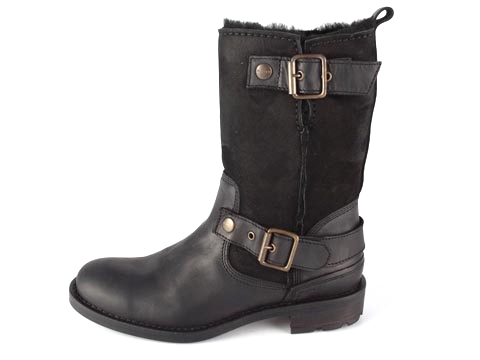 Gant: Teddi