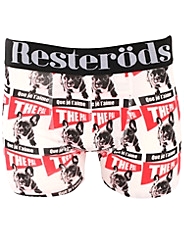 Gunnar 4 The Pal Boxer
