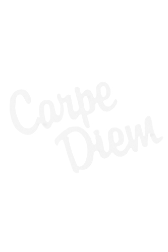 HEMMA "carpe diem" skylt 2 delar