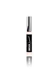 Mineral Concealer