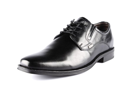 Modell: 195501