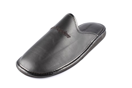 Modell 4830
