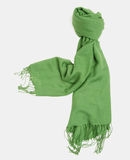 PASHMINA - Scarf