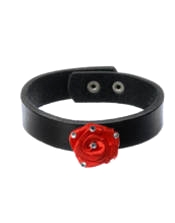 Passero accessories Smycken - 9