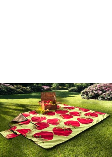 Picknickfilt «Jordgubbe»
