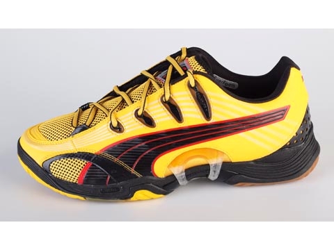 Puma: Accelerate V - 4