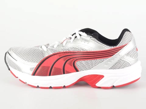 Puma: Axis