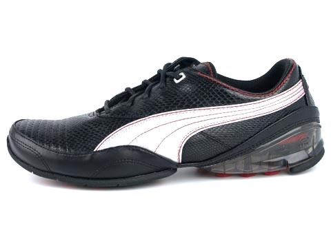 Puma: Cell Akila L