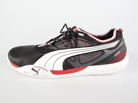 Puma: Clew