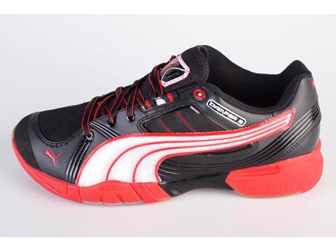 Puma: Damper ll - 2