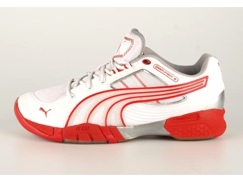 Puma: Damper ll