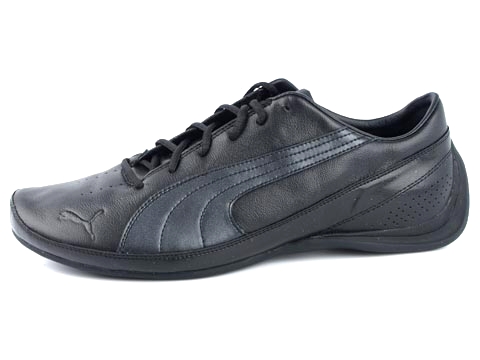 Puma: GP Cat
