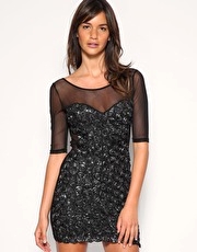 Rare Sheer Mesh & Metallic Rose Dress