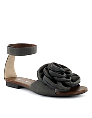 Sandy Shoe