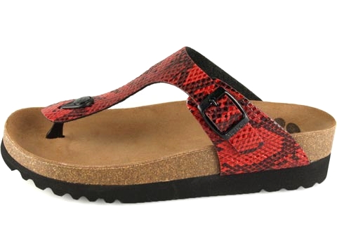 Scholl: Boa Vista Python WG