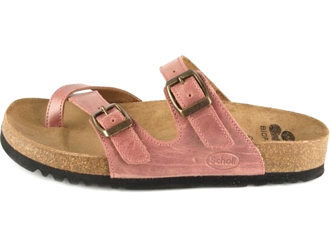 Scholl: Bomazi