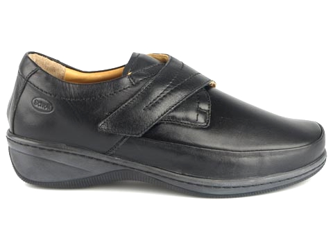 Scholl: Catherine