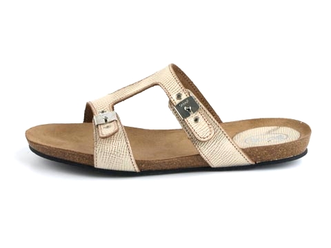 Scholl Contemporary: New Cays