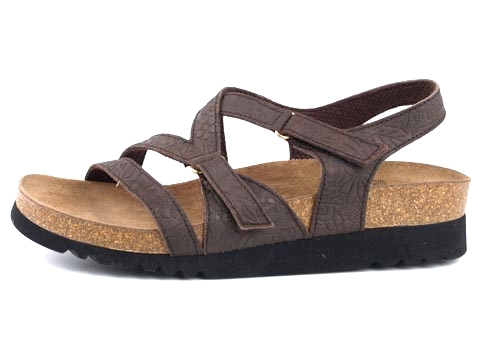 Scholl: Ecuador