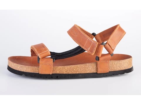 Scholl: Heaven - 2