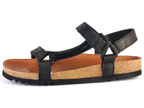 Scholl: Heaven