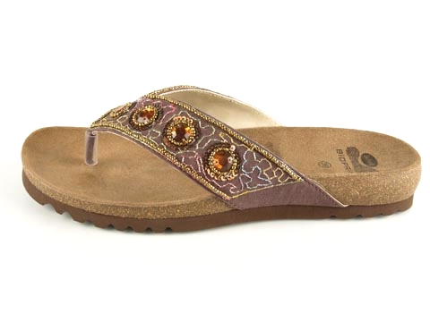 Scholl: Karta SL