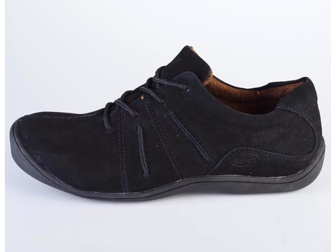 Scholl: Mistral