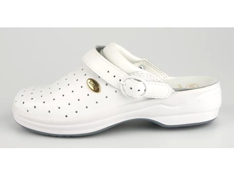 Scholl: New Bonus