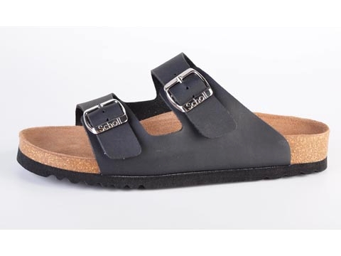 Scholl: Norden - 2
